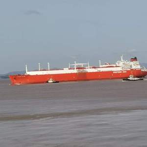 很很鲁班在线观看免费高清
