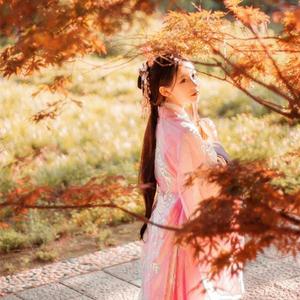 很很鲁班在线观看免费高清
