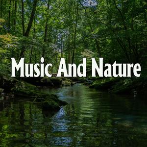 很很鲁班在线观看免费高清
